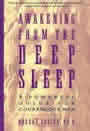 Awakening from the Deep Sleep: A Powerful Guide for Courageous Men by Robert Pasick